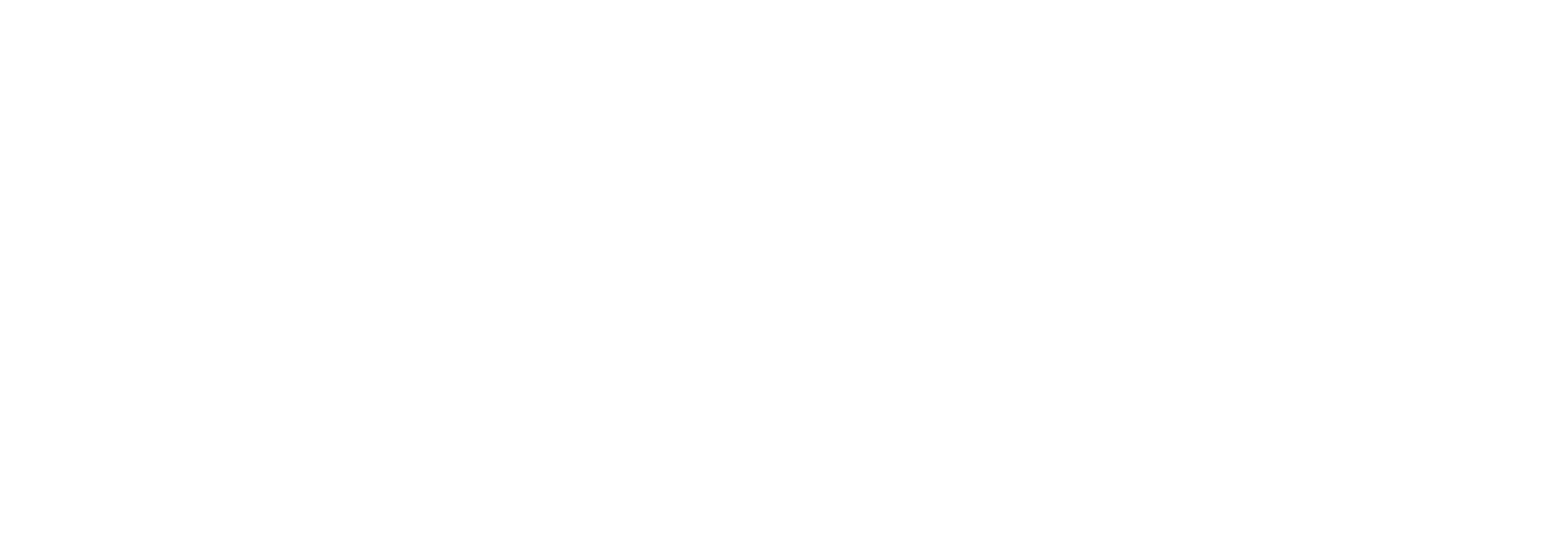 Boloni Boston